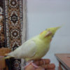 DSC00814.jpg