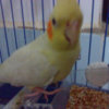 DSC00818.jpg