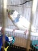 DSC03314.JPG