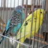 IMG_6419-1.jpg