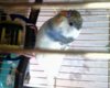 DSC03324.JPG
