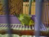 DSC01955.JPG