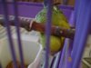 DSC01998.JPG