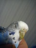 DSC05929.JPG