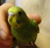 DSC03429.JPG