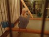 DSC01635.JPG