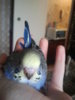 2013-02-09 10.29.04.jpg