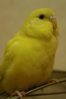 DSC03085.jpg