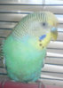 DSC00002.jpg