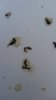 20160527_185547.jpg