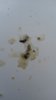 20160527_185539.jpg