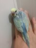 20160530_145139.jpg