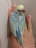 20160530_145234.jpg