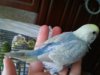 20160530_144652.jpg