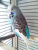 20160310_085423.jpg