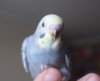 DSC_0389.JPG