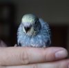 DSC_0395.JPG