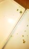 20160602_211014.jpg
