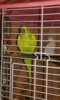20160602_222743.jpg