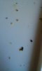 20160603_081522.jpg