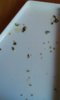 20160603_081519.jpg
