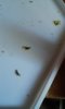 20160603_081513.jpg