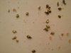 20160602_085642.jpg