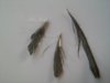 20160601_073734.jpg