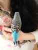 20160602_085755.jpg