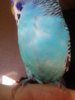 20160601_083221.jpg
