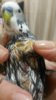 20160602_205735.jpg