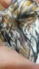 20160602_205830.jpg