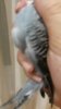 20160602_205145.jpg