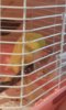 20160604_002815.jpg