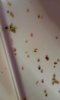 20160604_093815.jpg