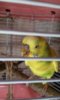20160604_094535.jpg