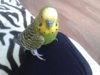 20160604_180921.jpg