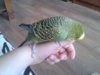 20160604_181112.jpg