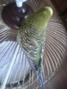 20160604_182541.jpg