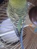 20160604_182559.jpg