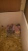IMG-20160603-WA0043.jpg
