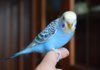 DSC_0016-вторая.jpg