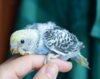 DSC_0053_пятыйjpg.jpg