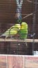 IMG_20160608_184336.jpg