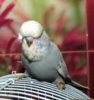 IMG_7396.JPG