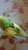 DSC_0106.JPG