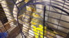 20160606_215238.jpg