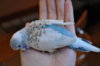 DSC_0663.JPG