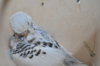 CSC_0678.JPG