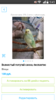 Screenshot_2016-06-24-05-45-11.png